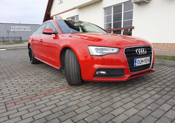 audi Audi A5 cena 49900 przebieg: 240000, rok produkcji 2014 z Malbork